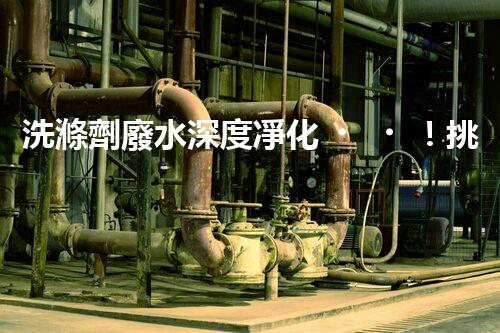 洗滌劑廢水深度凈化！挑戰(zhàn)與機(jī)遇究竟何在？